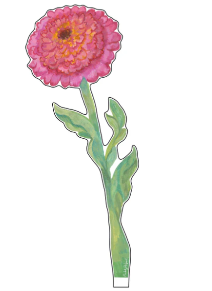 Cupcake Zinnia