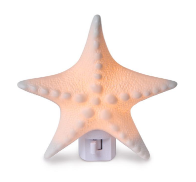 Seashell Nightlight