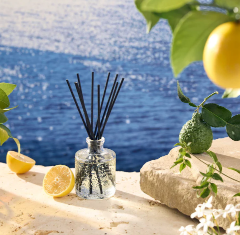 Mediterranean Lemon Voluspa Candle | Diffuser