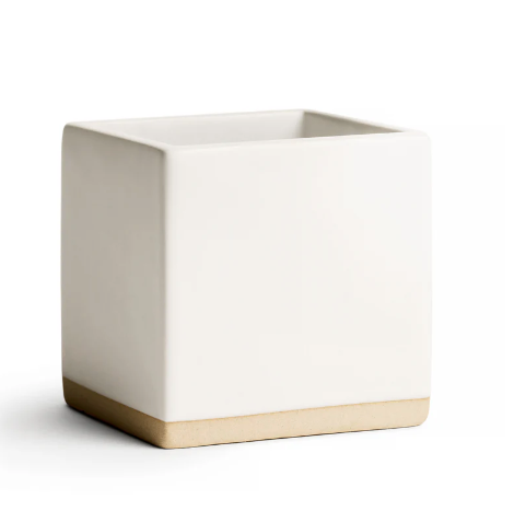 White Little Notes Ceramic Holder