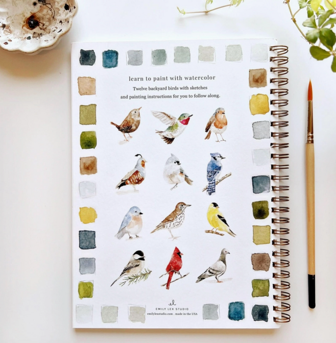 Birds Watercolor Workbook
