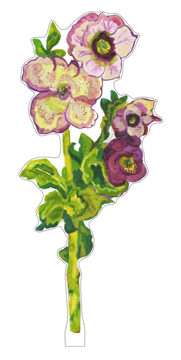 Hellebore Flower