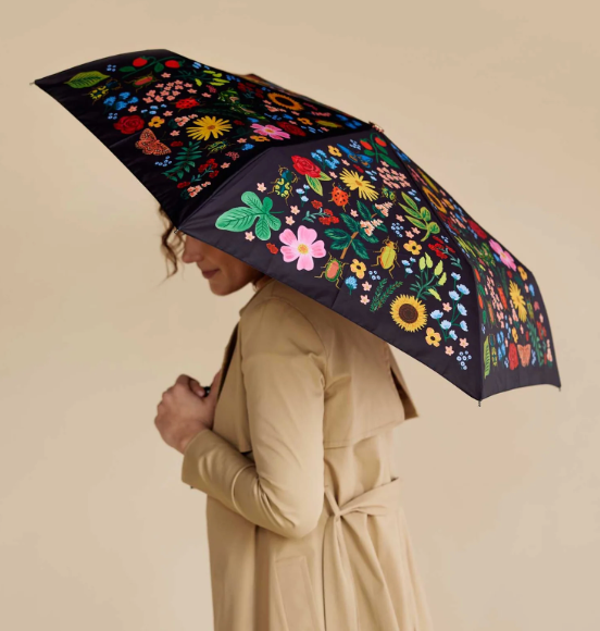 Curio Umbrella