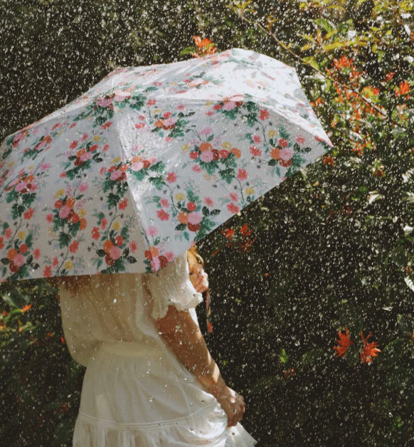 Dahlia Umbrella