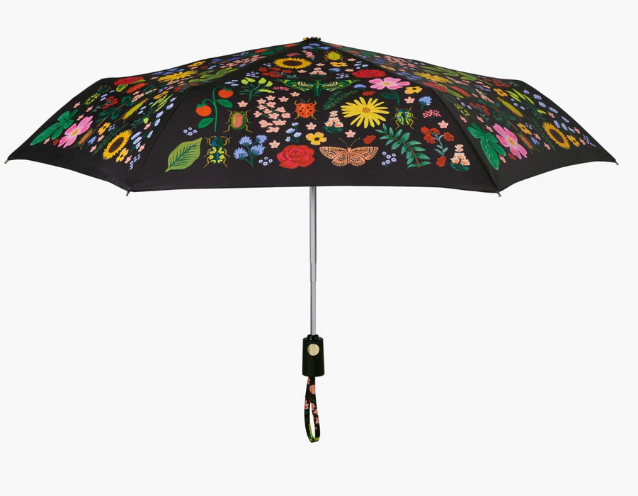 Curio Umbrella