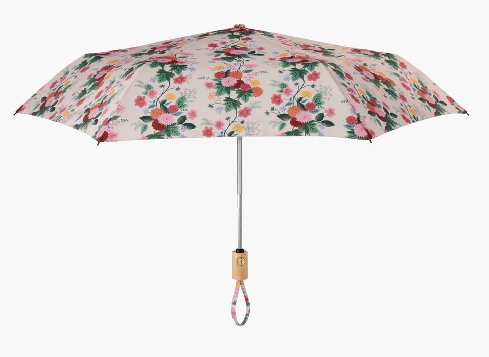 Dahlia Umbrella