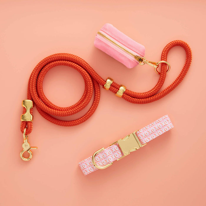Cider Marine Rope Dog Leash | 5 Feet