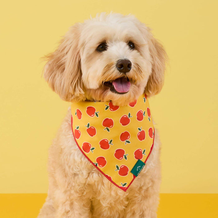 OLIPOP x TFD Crisp Apple Dog Bandana