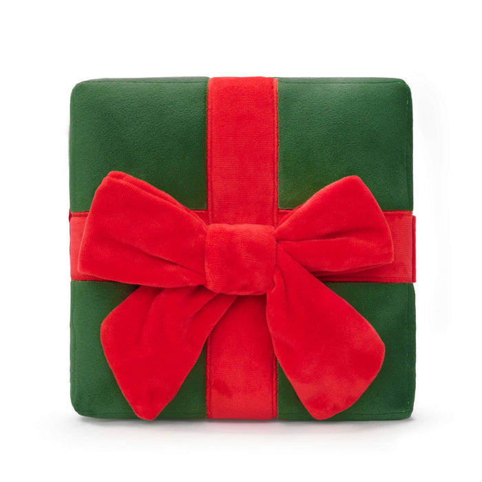 Holiday Present Interactive Dog Toy