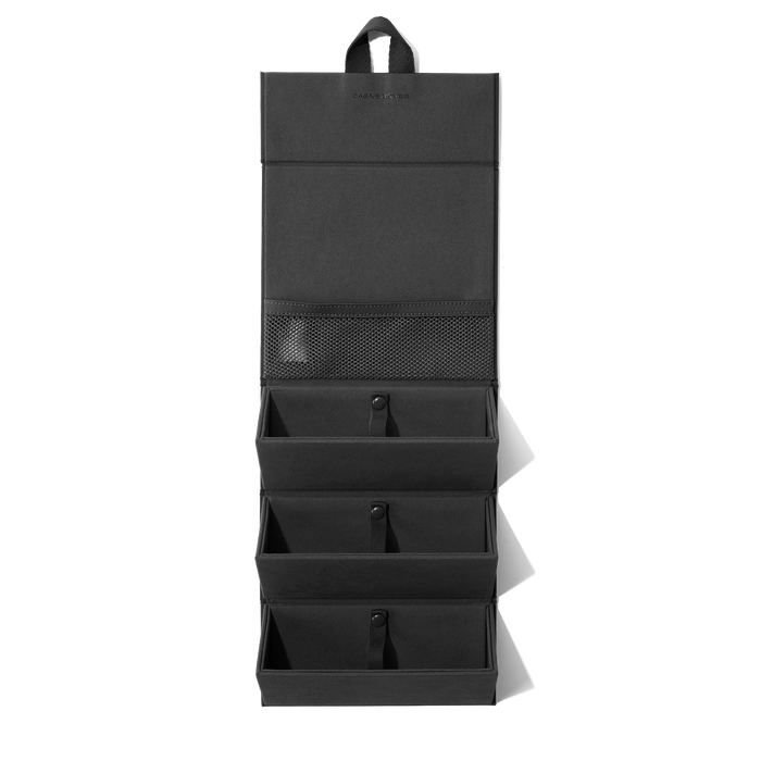 Remi Glasses Case in Onyx