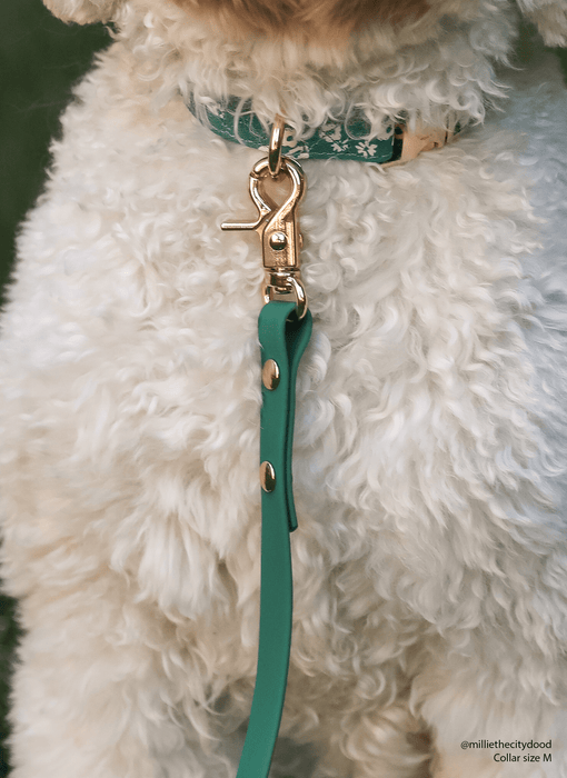 Meadow Green Dog Leash