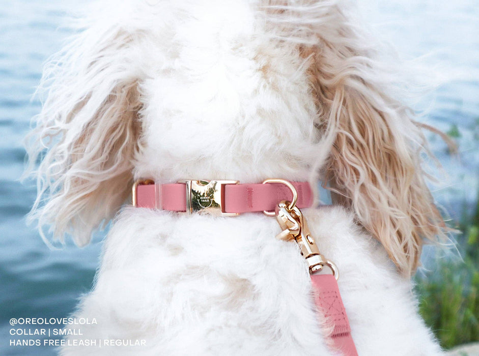 Perfect Pink Dog Leash