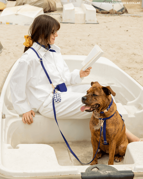 Navy 4-in-1 Convertible Hands Free Dog Leash