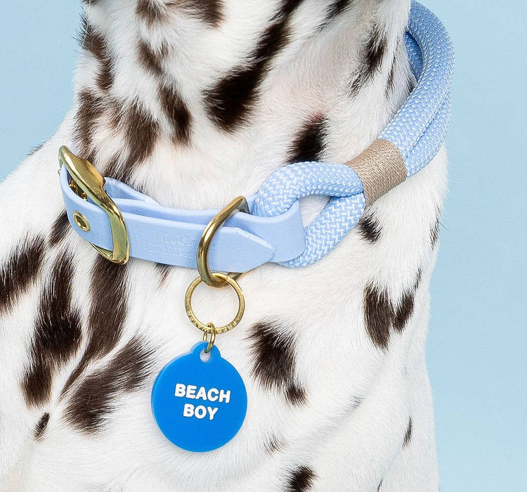Beach Boy Pet Tag