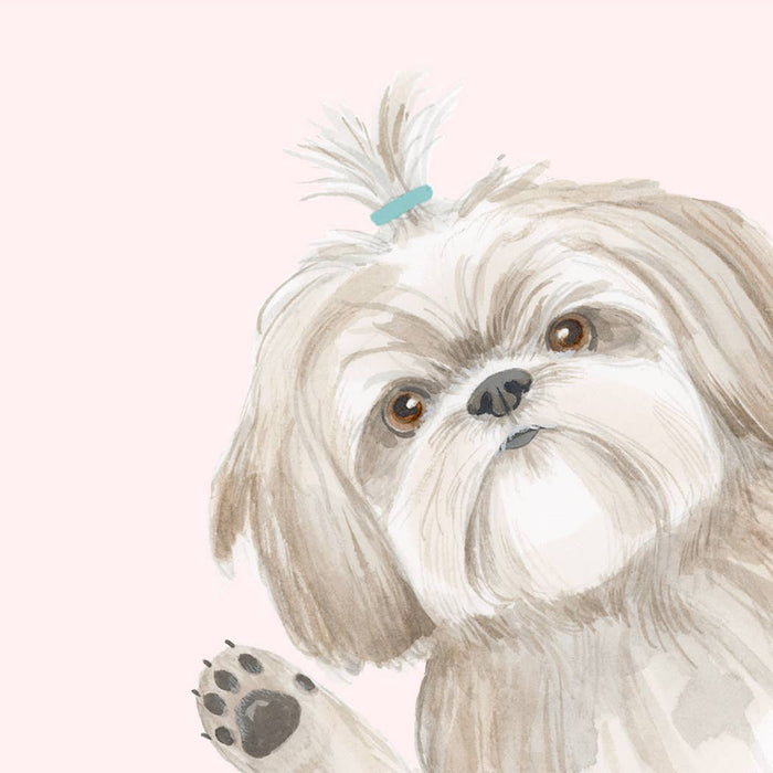 Hope Your Birthday is Shihtz Card