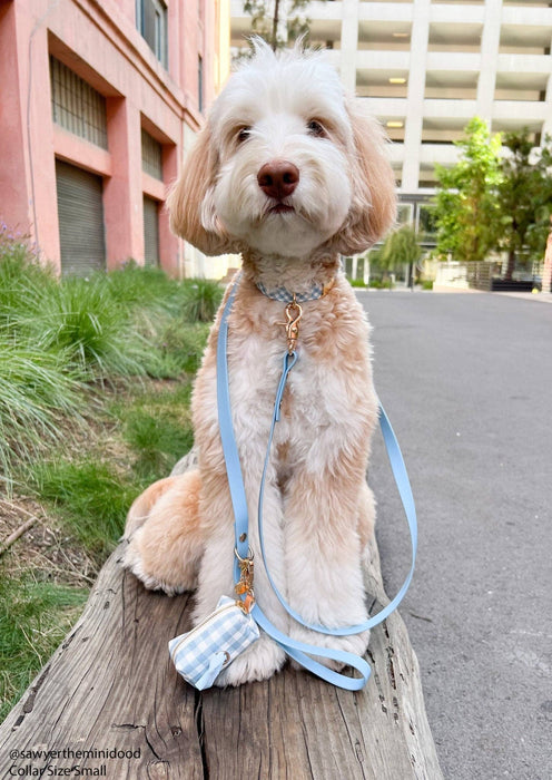 Malibu Blue Dog Leash