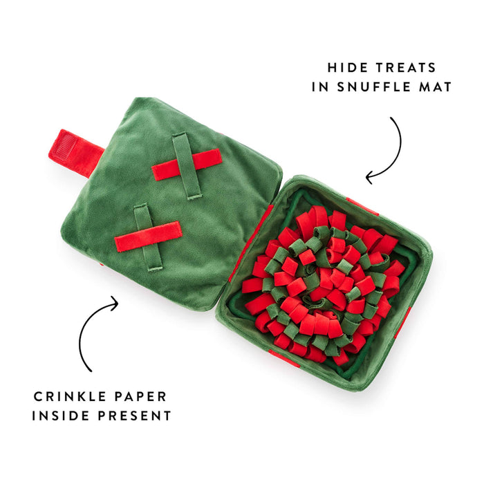 Holiday Present Interactive Dog Toy