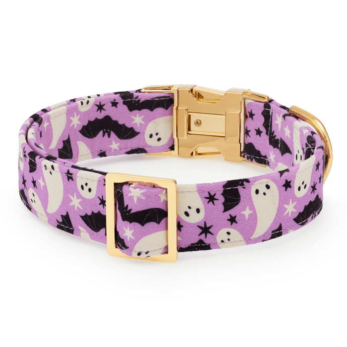 Spooky Season Glow-in-Dark Dog Collar