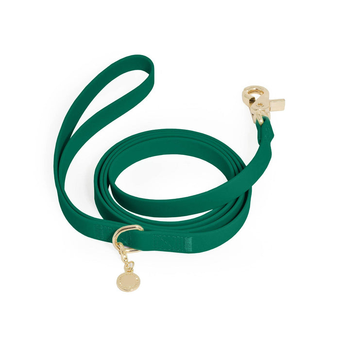 Meadow Green Dog Leash