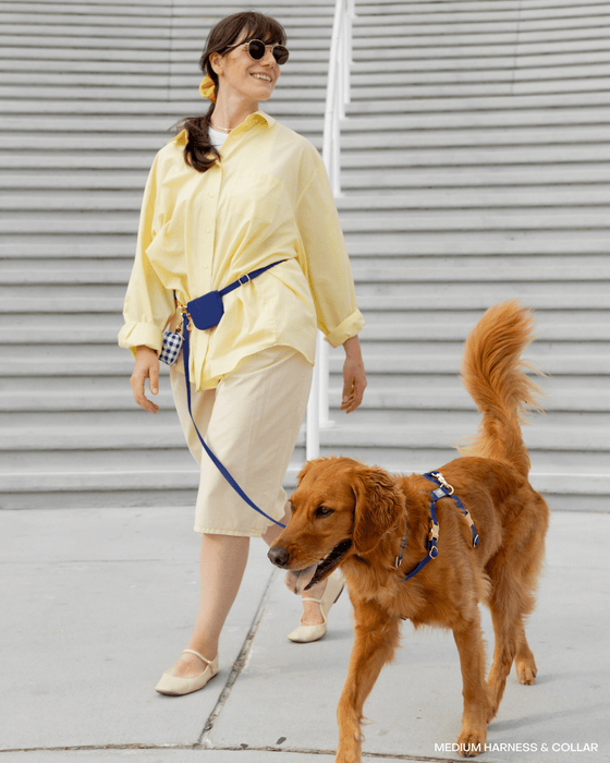 Navy 4-in-1 Convertible Hands Free Dog Leash