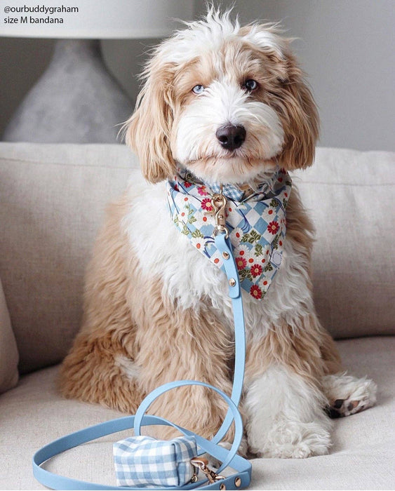 Malibu Blue Dog Leash