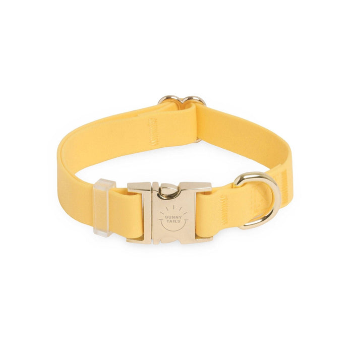 Dandelion Yellow Dog Collar