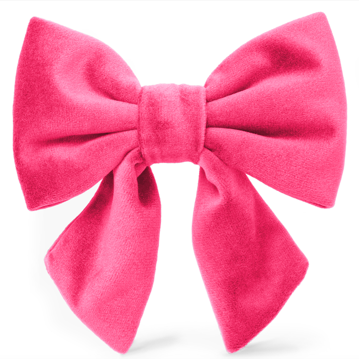 Hot Pink Velvet Lady Dog Bow