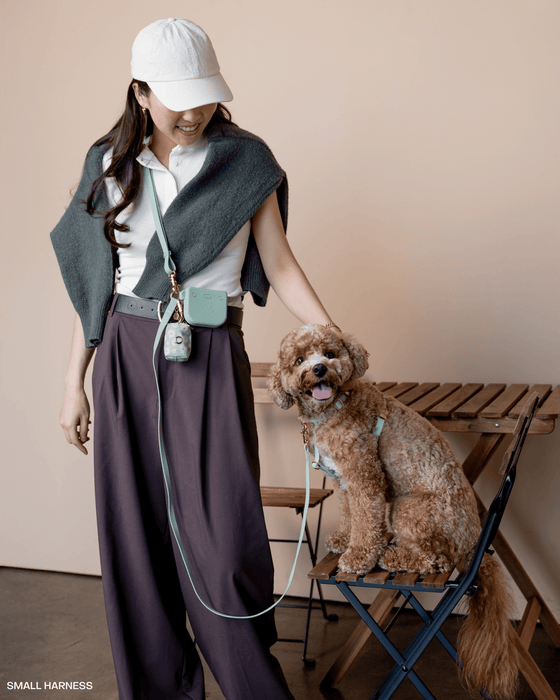 Pistachio Green 4-in-1 Convertible Hands Free Dog Leash