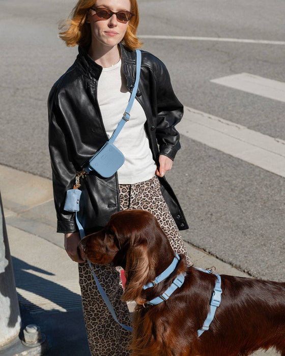 Malibu Blue Dog Collar