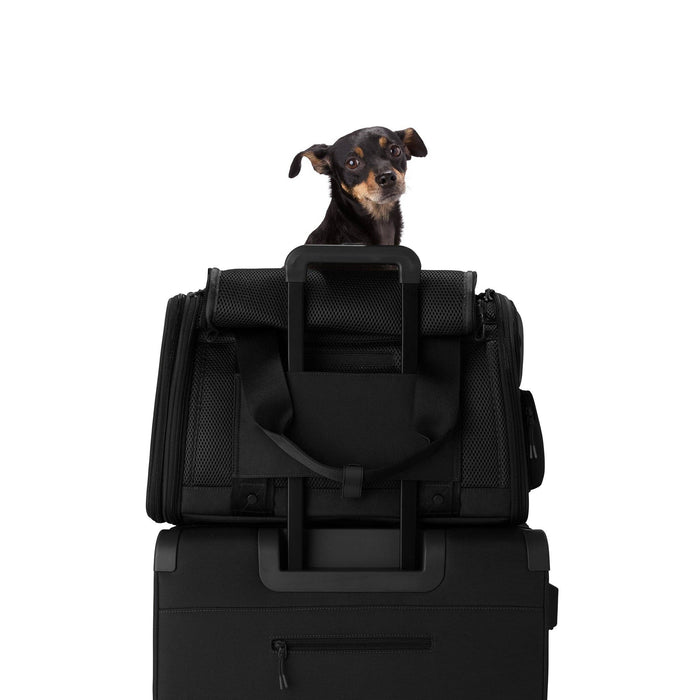 large Kyoto Pet Carrier | Onyx