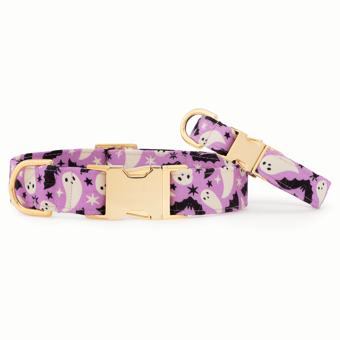 Spooky Season Glow-in-Dark Dog Collar