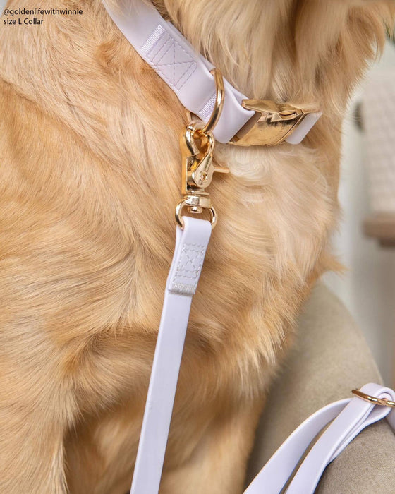 Lavender Haze 4-in-1 Convertible Hands Free Dog Leash