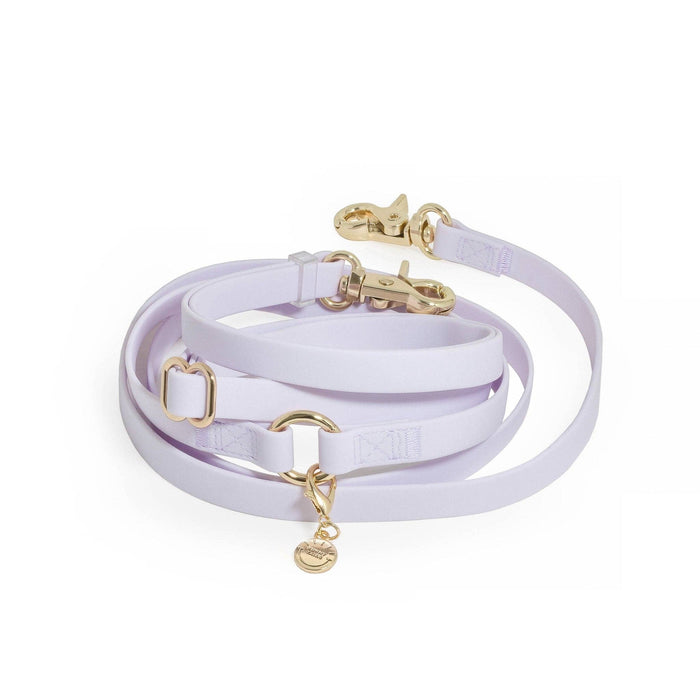Lavender Haze 4-in-1 Convertible Hands Free Dog Leash