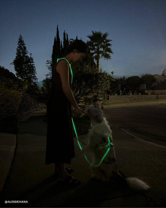 Lunar Glow 4-in-1 Convertible Hands Free Dog Leash