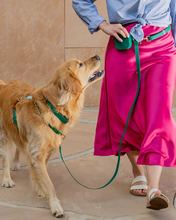 Meadow Green 4-in-1 Convertible Hands Free Dog Leash