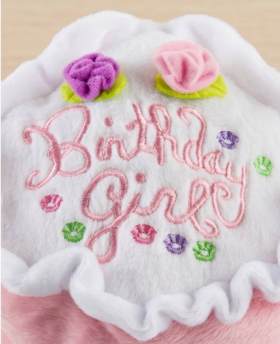 Lg Birthday Girl Dog Toy