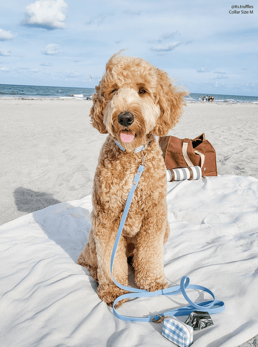 Malibu Blue Dog Leash