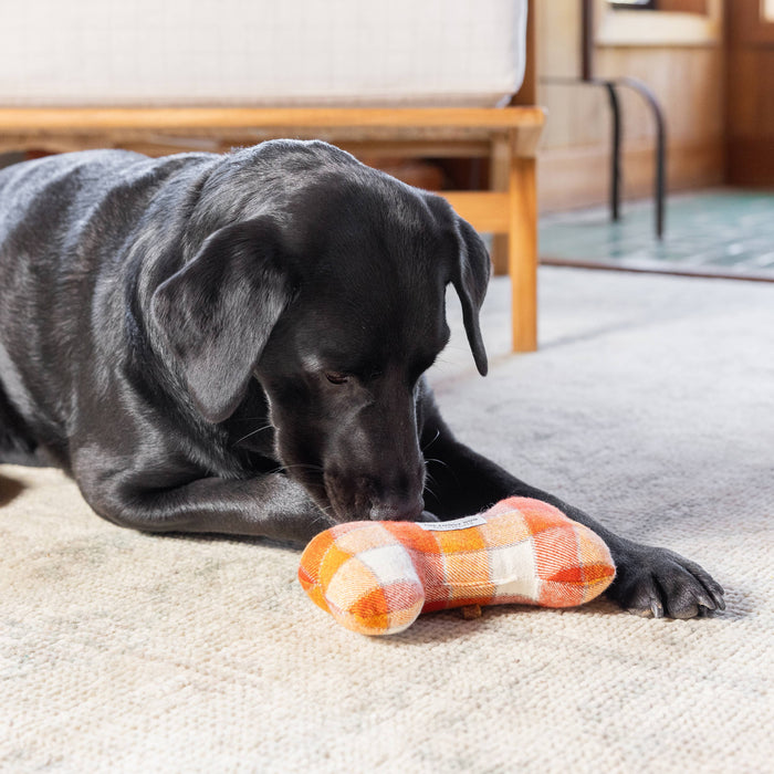 Pumpkin Spice Plaid Fall Dog Squeaky Toy
