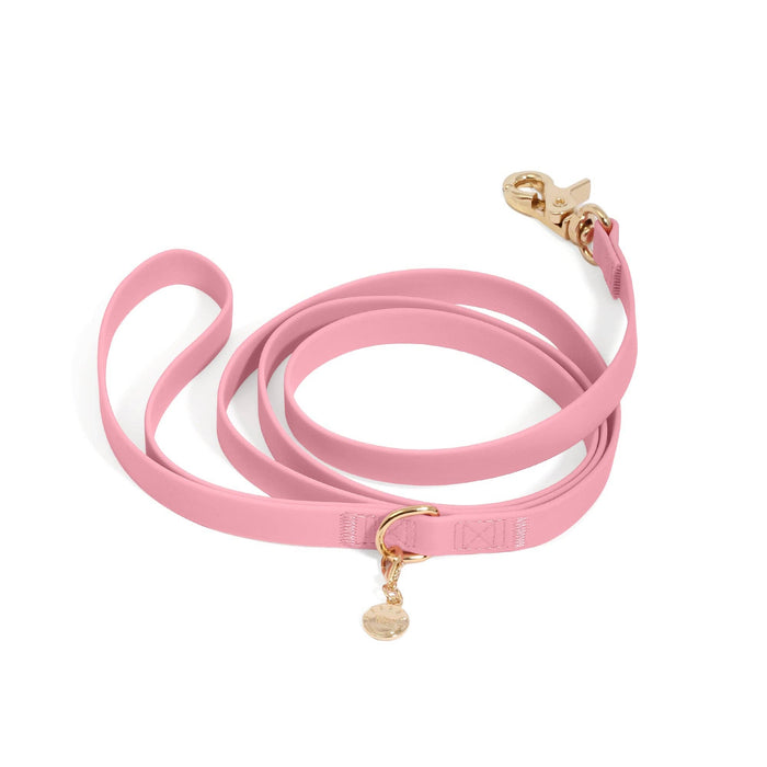 Perfect Pink Dog Leash