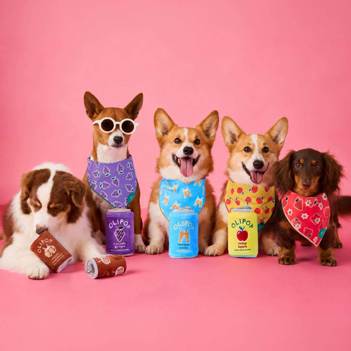 OLIPOP x TFD Crisp Apple Dog Bandana