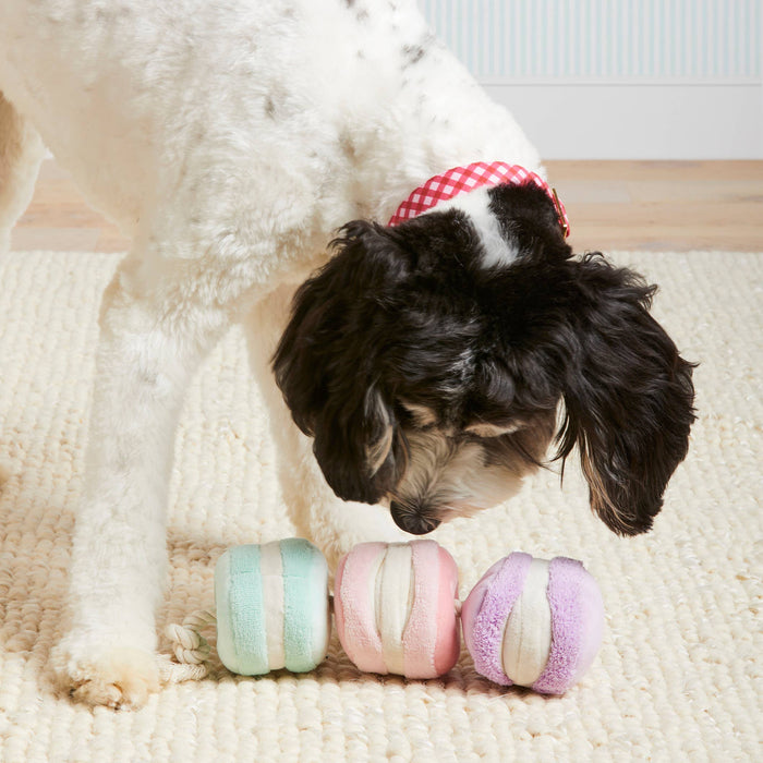 Macarons Dog Toy