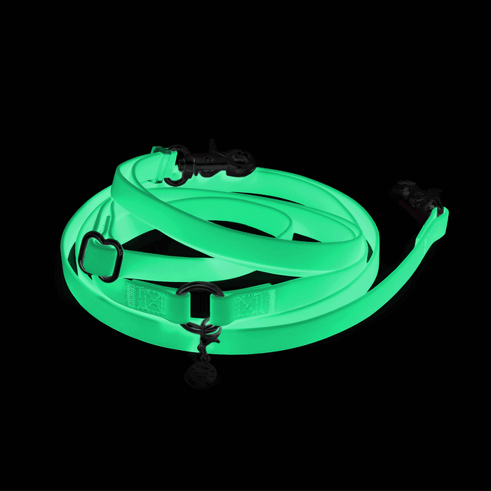 Lunar Glow 4-in-1 Convertible Hands Free Dog Leash