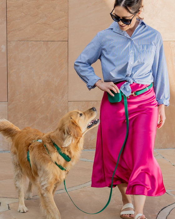 Meadow Green Dog Collar