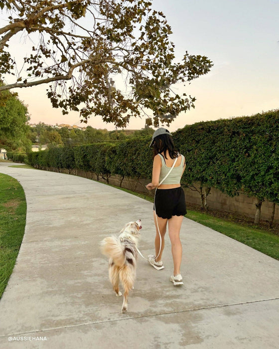 Lunar Glow 4-in-1 Convertible Hands Free Dog Leash