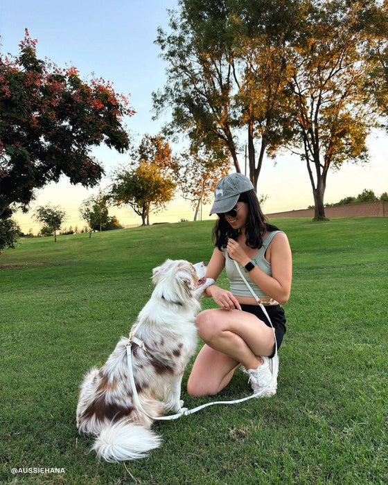 Lunar Glow 4-in-1 Convertible Hands Free Dog Leash