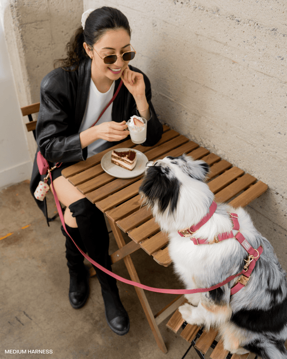 Mulberry Burgundy 4-in-1 Convertible Hands Free Dog Leash