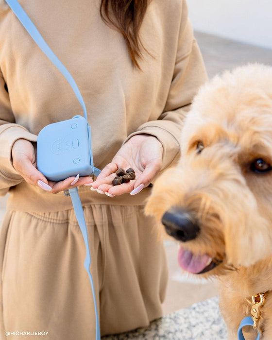 Malibu Blue 4-in-1 Convertible Hands Free Dog Leash