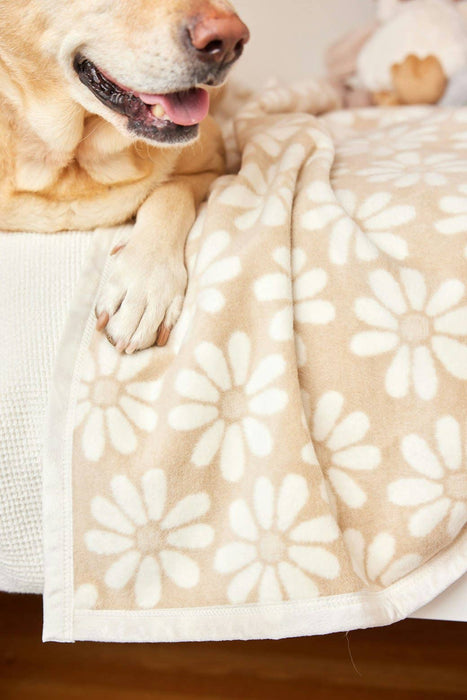 Fresh as a Daisy Wheat Midi Blanket