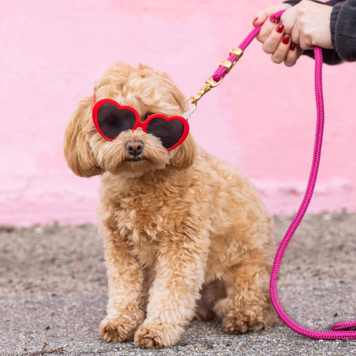 Hot Pink Marine Dog Leash | 5 feet