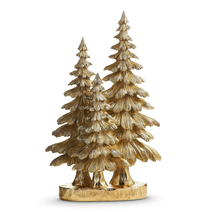 16 Gold Spruce Trees